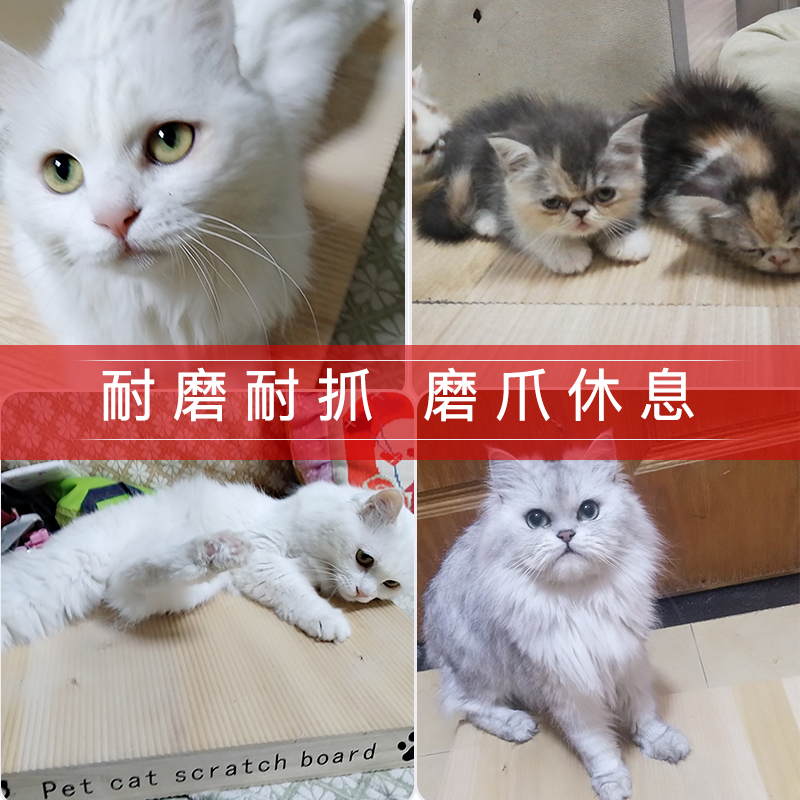 热销猫抓板磨爪器不掉屑耐磨实木木质猫爪板大号猫咪玩具自嗨用品