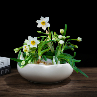 热销水仙盆陶瓷铜钱草花盆水培睡莲多肉碗莲专用盆家用陶器金钱草