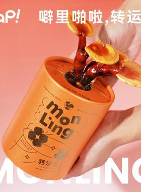 【生日礼物】pap转运灵活灵芝盆栽礼盒招财玄关摆件送朋友开业