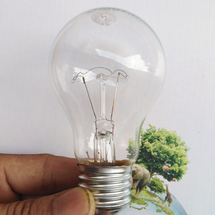 速发白炽灯泡220v老式灯瓦钨丝电灯泡E27螺口100W200泡养殖场工程