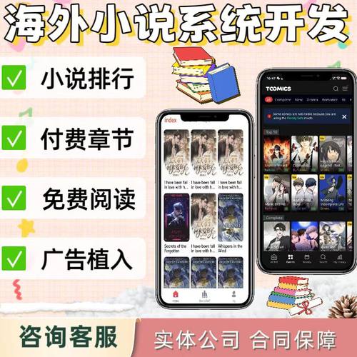 海外小说系统开发App定制h5搭建对接广告会员章节小说系统源码