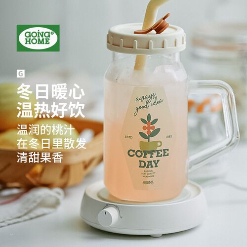 吸管杯高级感f小众ins杯子高颜值家用高硼硅玻璃水杯带把手果汁杯
