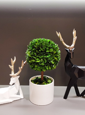 保鲜植物摆c件家居饰品2021新款客厅酒柜办公室装饰品卧室轻奢高