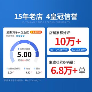 爱惠浦mc2滤芯商用原装r通用直饮大流量净水器SA950720配件耗材