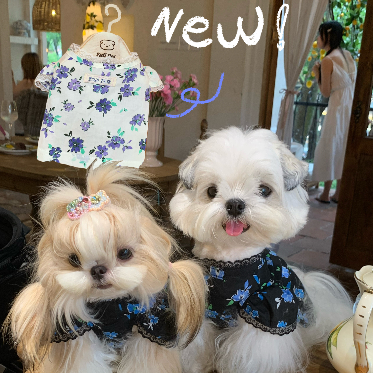 FULIPET夜海棠花园系列宠物服装西施犬马尔济斯比熊