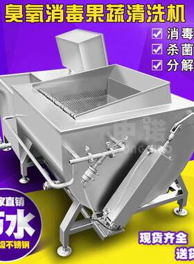 华光油桃清洗机可提升出料牛心李清洗机商用狗头枣翻斗式去杂机