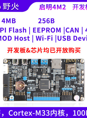 野火RA4M2开发板 ARM开发板 瑞萨R7FA4M2AD3CFP,RENESAS RA单片机