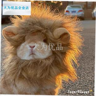 物猫咪狗狗可爱狮子头套兔子猫猫帽子兔耳朵汉堡W头饰装扮拍照.