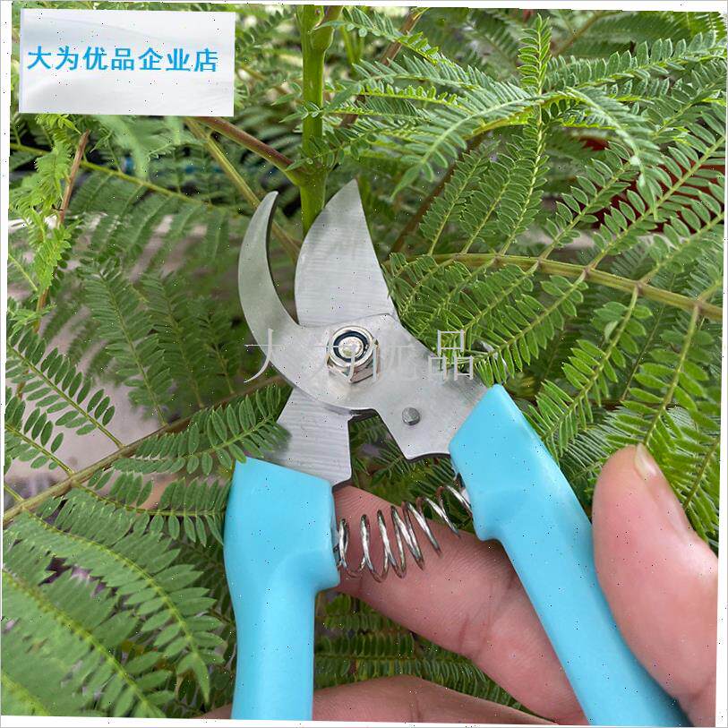 肉植物绿植种植工具六件套园艺剪刀上盆N铲土工具修根剪枝工具.
