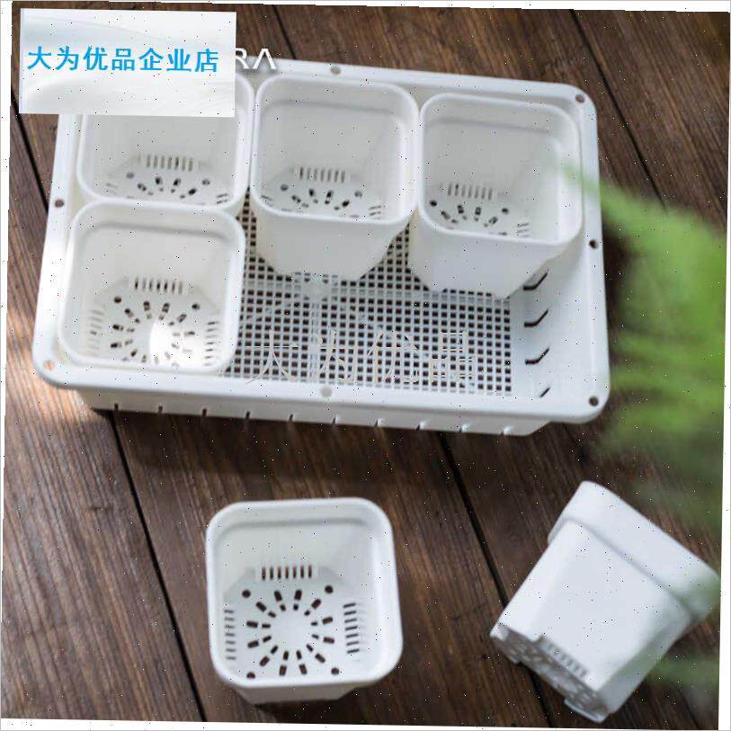 口径特厚多肉h塑料方花盆整理筐接水盘闷养箱阳台种菜育苗播种盘.