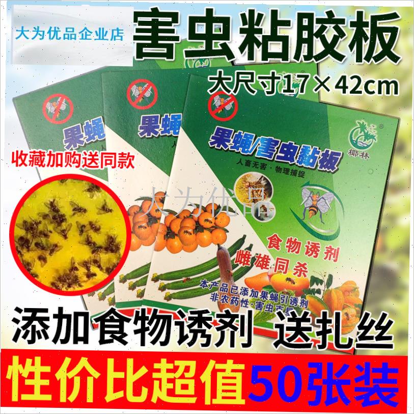 力粘胶双面黄板果园实蝇粘胶板针蜂贴户外农用粘虫板.果蝇诱虫板.