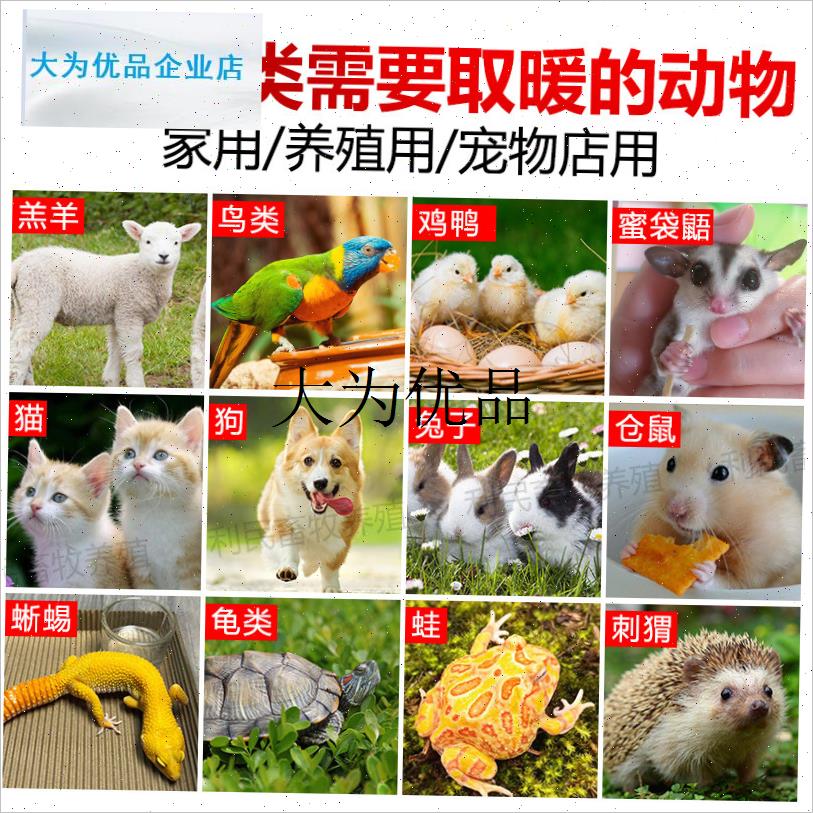 宠物取暖器鹦g鹉保温灯暖风机养殖芦丁鸡蜜袋鼯仓鼠加热灯过冬专,