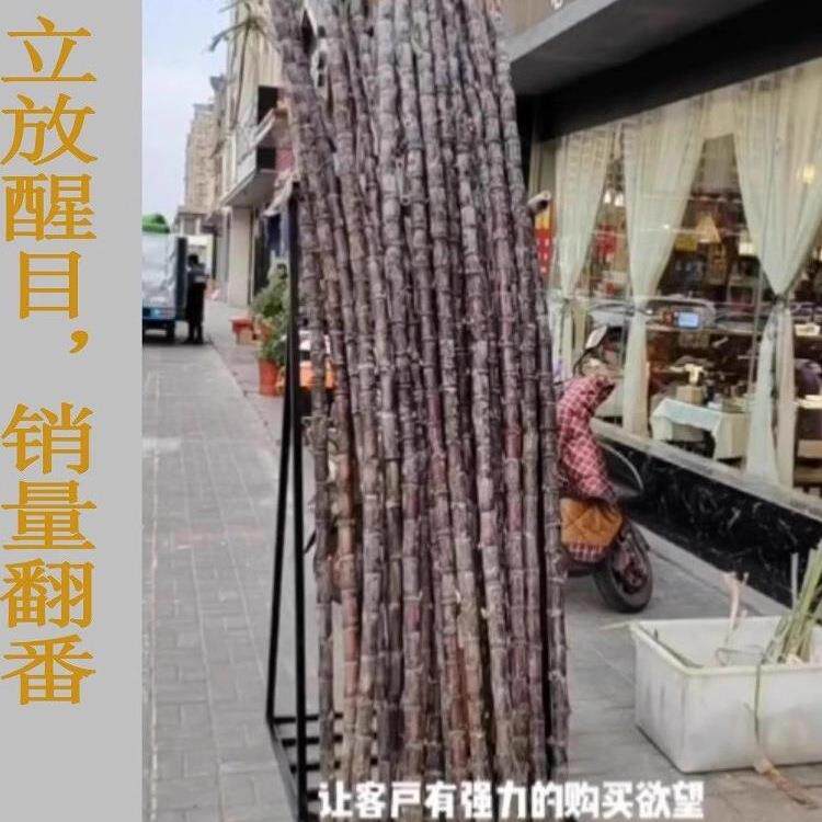 水果XLI店放甘甘蔗子立放展示架卖蔗摆放架斜支放固定撑超架市陈