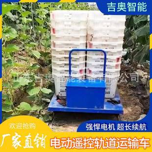 电动遥控搬园运铁路用运输轨车蔬菜平板大棚车238道车农果大棚轨