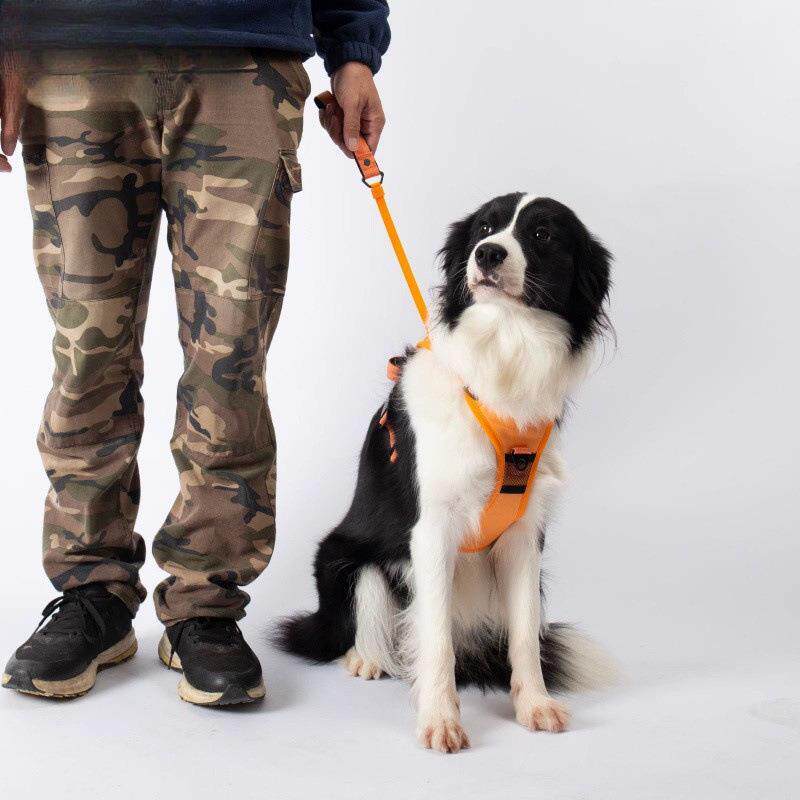 狗狗引一绳胸背体kDc4irAY可心伸缩遛狗绳中型大型犬宠物背式背带