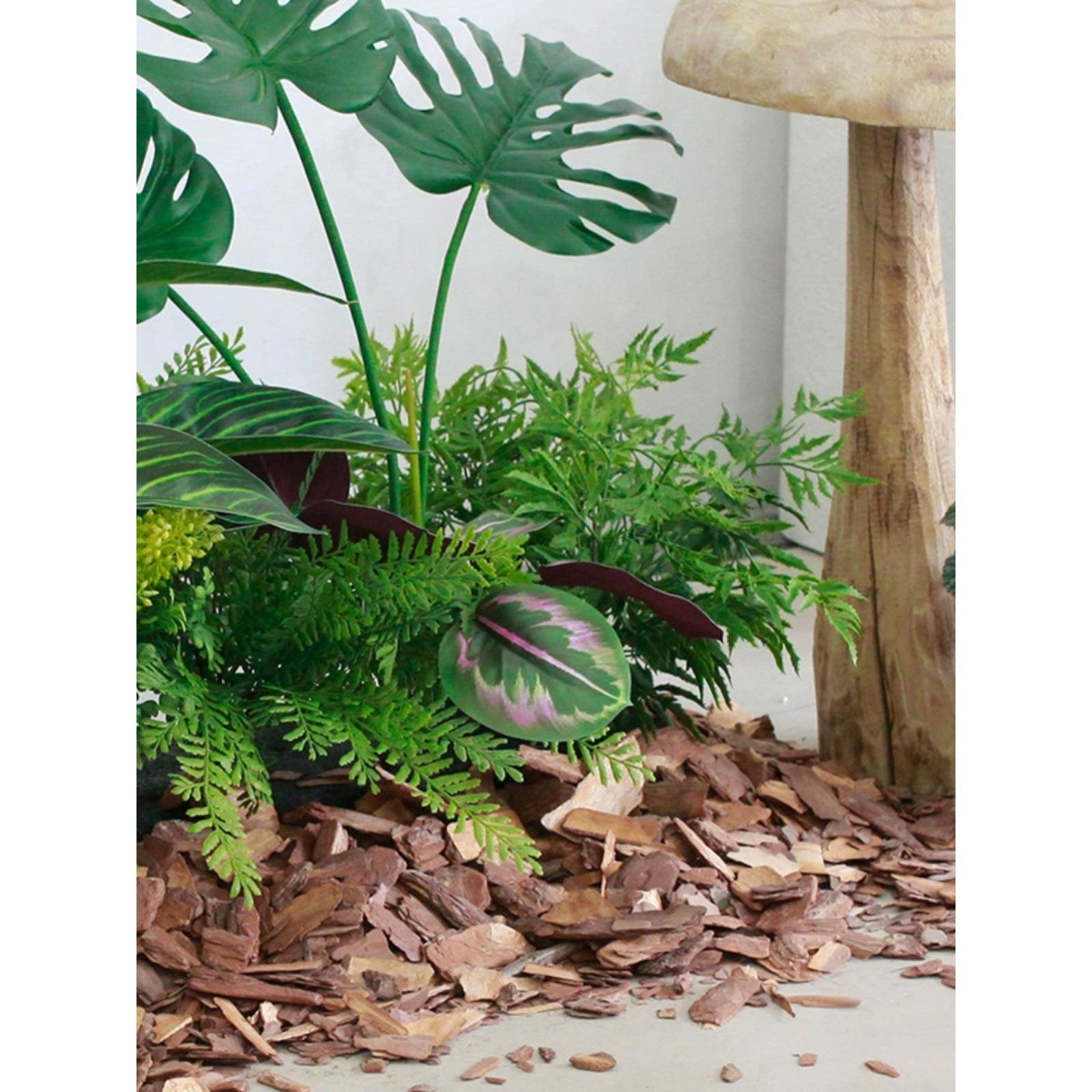 植物磨造景棉层覆盖松F766J5S7皮打抛光空间绿植树装饰搭配森系自