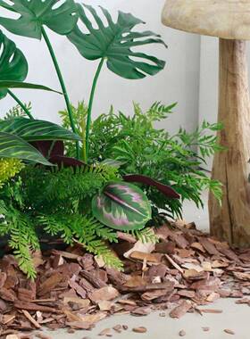 植物磨造景棉层覆盖松F766J5S7皮打抛光空间绿植树装饰搭配森系自