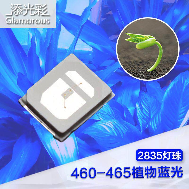 835紫光灯珠28蚊35紫光灭VEK灯珠2835U2V紫珠光灯植物生长灯珠395