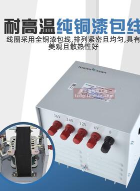 天正电气MB-500J0VA行2灯变压器照明4变压器220V380V变3RIE6VV12V
