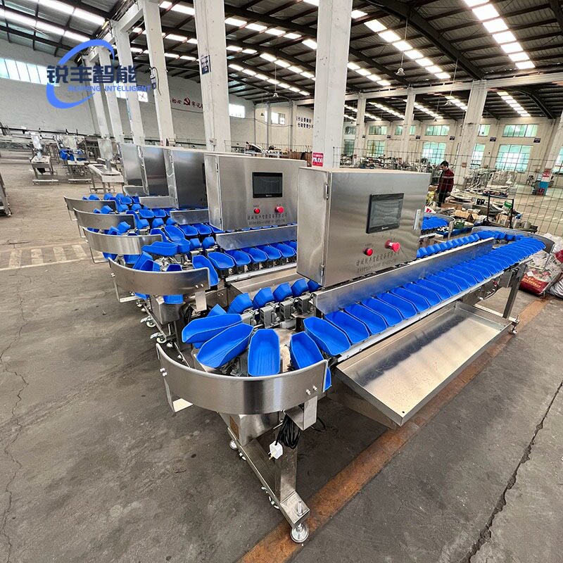 粑粑柑自动重量分选机 水果料盒式分拣设备 多功能分选土豆红薯