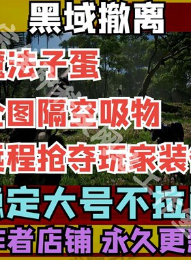 黑域撤离主播同款辅助 端游适配DMA Black Budget 魔法 STEAM科技
