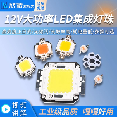 12V大功率LED集成粉色植物灯珠1w10W20W30W50W高亮度正白光