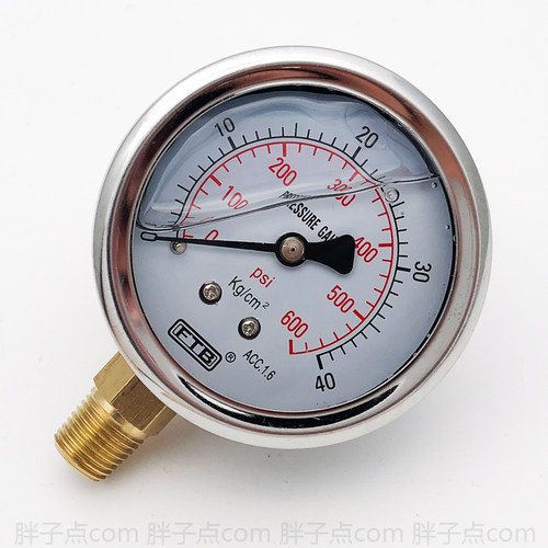 FTB直立式60mm充油压力表0-40Kg/cm2气压表600psi液压表PT1/4接头