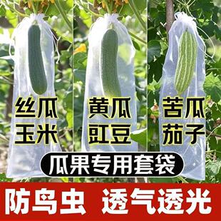 加长苦瓜套袋不织布丝瓜防虫专用青黄瓜果水瓜网透气果蝇针蜂葡萄