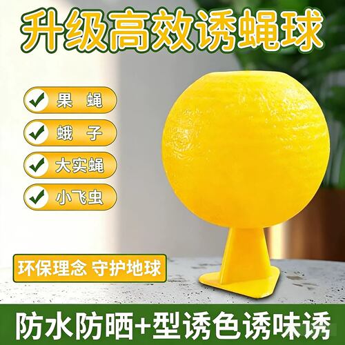 粘虫球粘小飞虫神器厨房