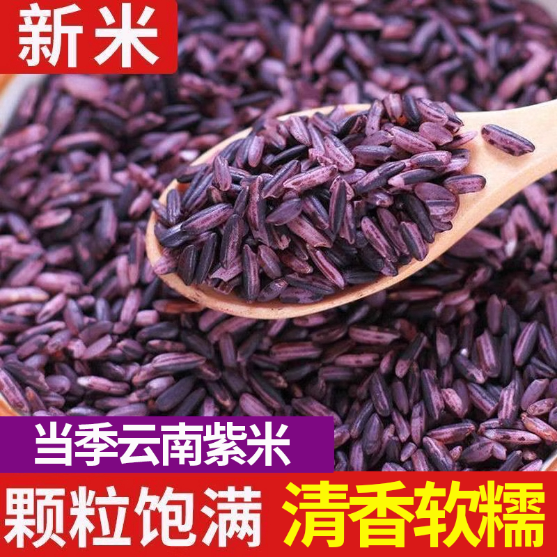 紫米正品官方旗舰店精选云南紫米新货新米紫米糙米饭杂粮饭煮粥