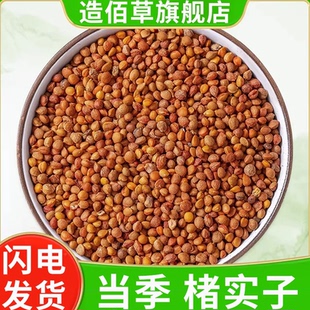 楮实子中药材官方旗舰店正品非野生新货构树果实蓍实苦褚树籽泡水
