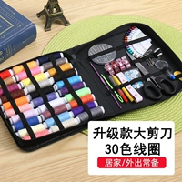 Роскошный первоклассный набор для шитья на молнии для семейного портрета [набор из 112 предметов] в наборе для шитья есть все