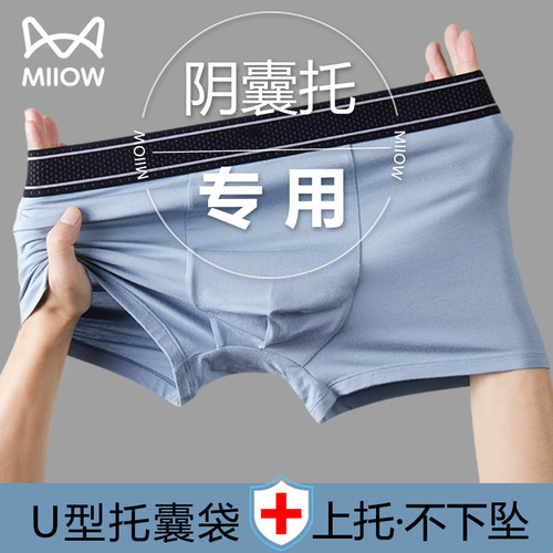 莫代尔精索防潮湿静脉阴囊托曲张
