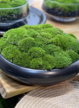 中式永生苔件藓摆店酒茶几洽谈桌书房微景观面盆景售楼处TVO桌绿