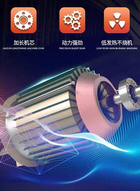 微电扬葫芦连体带车家用小吊机电动IGW升提机跑卷机微电葫芦