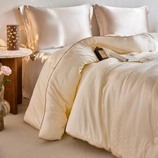 高奢桑维蚕丝芯大豆纤被家用双人春秋被子欧式提花无品牌/厚加保