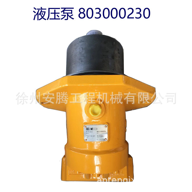 徐工QUY50履带吊液压泵803000230