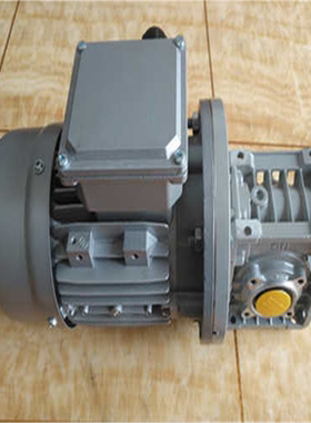 意大利TAIMRALI电机 意大利TAIMRALI三相异步电机~议价