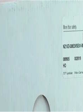 Euchner 089905 安士能全新安全开关 NZ1VZ~议价