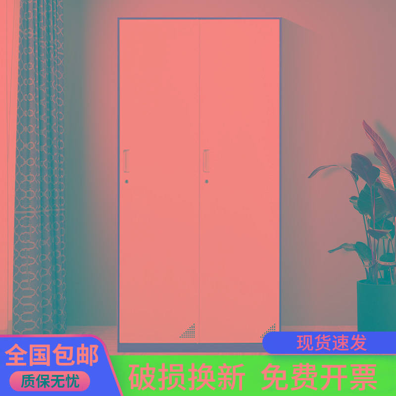 双二两门拆装套色钢制员工更衣柜铁皮柜浴室鞋柜套色健身房储物柜