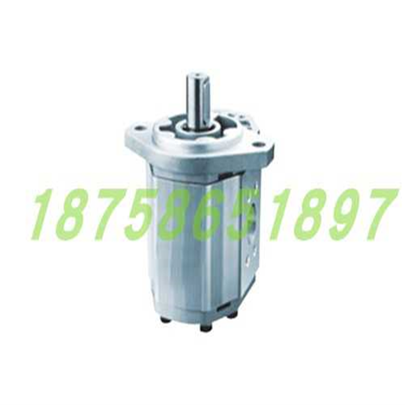 合肥信仁液压 齿轮油泵 CBQ-F550-AFPL AFΦL CBQ-F573-AFP