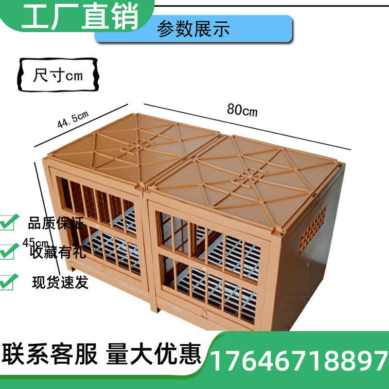 鸽子配对笼繁殖家用鸽子笼组合鸽子巢箱塑料防水信鸽配对笼鸽种具