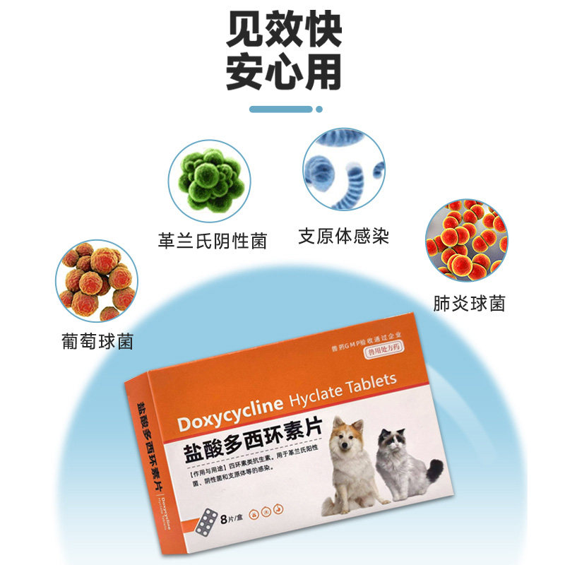 狗狗感冒发烧猫咪咳嗽鼻涕宠物支气管炎消炎兽肺炎盐酸多西环素