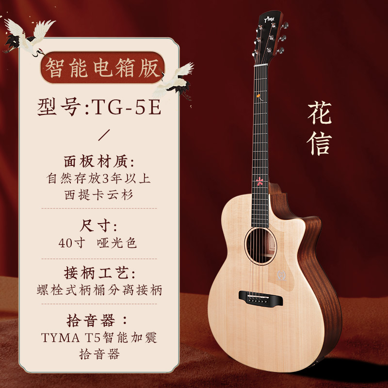 Tyma泰玛TG5/TD5c国风民y谣单板吉他男女生初学者面单电箱40/41寸