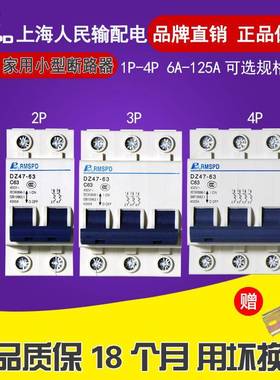 人民电气 小型断路器C型 DZ471P2P3P4P6A10A16A20A25A32A40A50A63