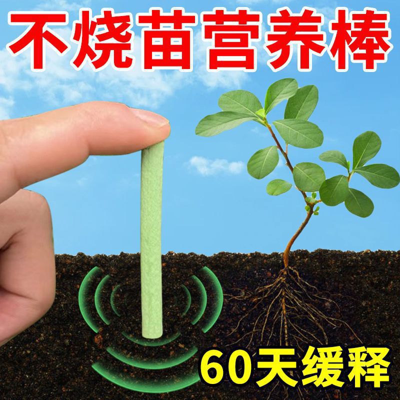 植物缓释营养棒肥料盆栽花卉家用养花通用型营养液片绿植土壤花草