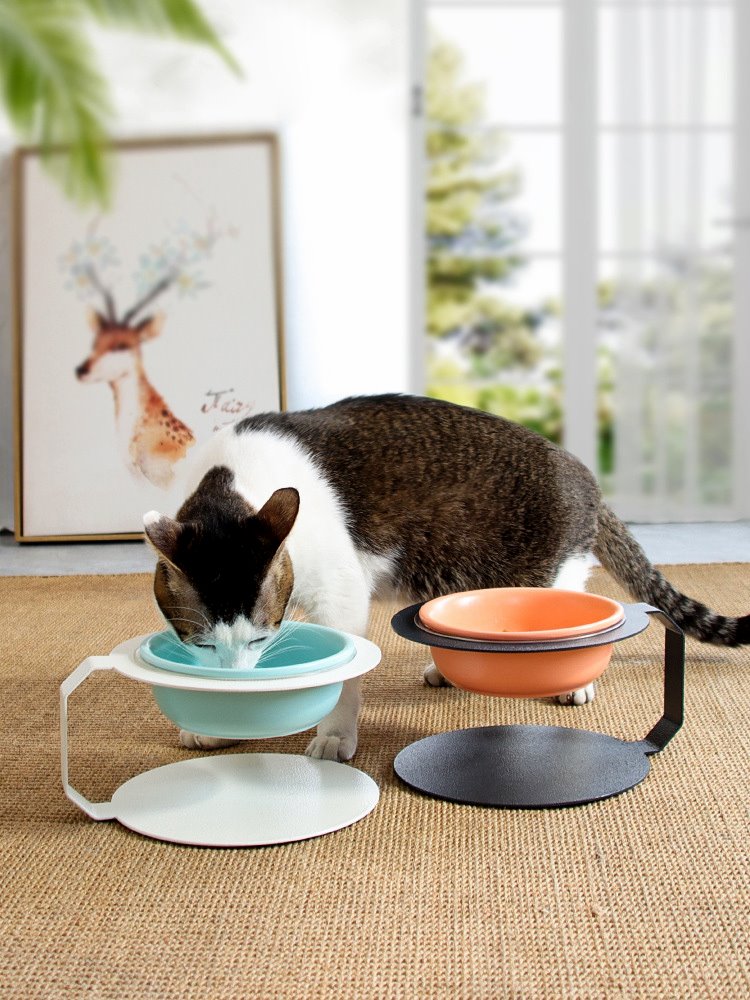 陶瓷猫碗猫咪食盆饭盆食碗喝水碗保护颈椎狗狗碗狗盆双碗宠物用品