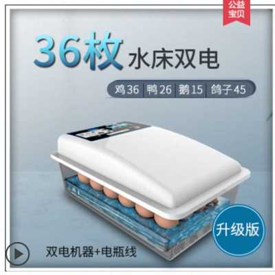 现货速发爆品枚孵化器孵化h机孵蛋器家用型全自动小型迷你水床孵