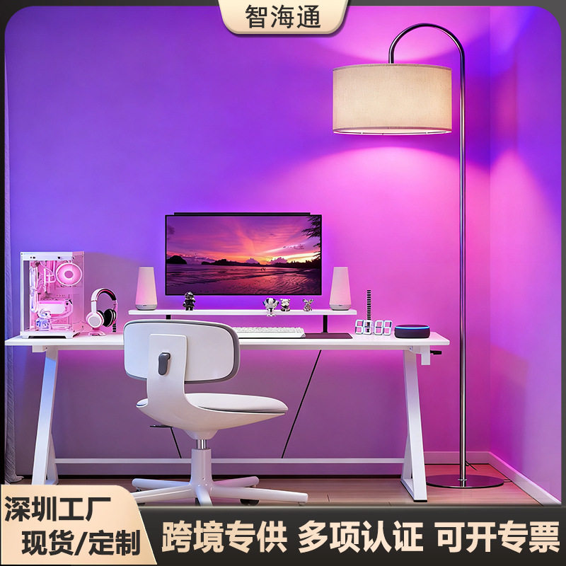 跨境led落地灯客厅高颜值简约立式台灯rgb调光卧室电竞落地氛围灯
