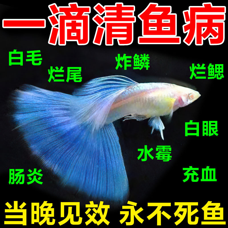 锦鲤鱼病专用药治观赏鱼金鱼孔雀鱼炸鳞烂尾水霉白点亚甲基蓝鱼药